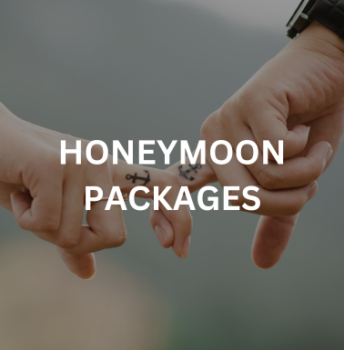 Honeymoon packages